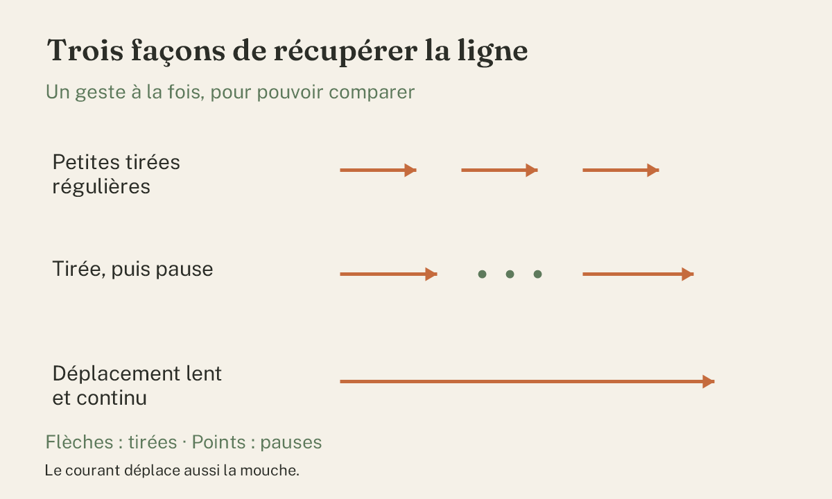 Schéma de trois séquences : petites tirées régulières, tirée suivie d’une pause et déplacement lent continu